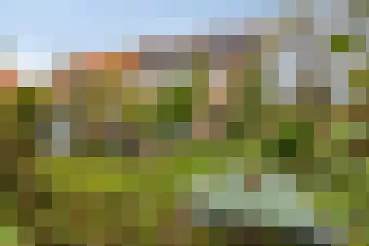 Canadalaan 52 Bergen op Zoom thumbnail 46