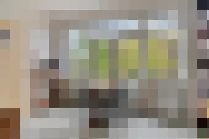 Canadalaan 52 Bergen op Zoom thumbnail 8