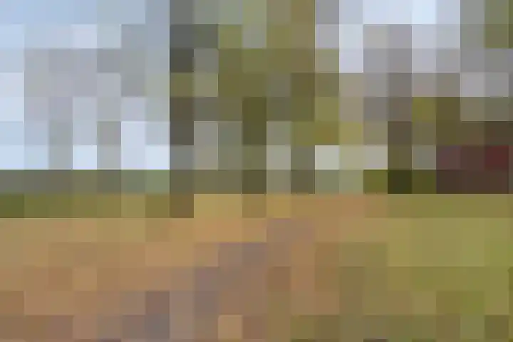 Canadalaan 59 Groningen thumbnail 32