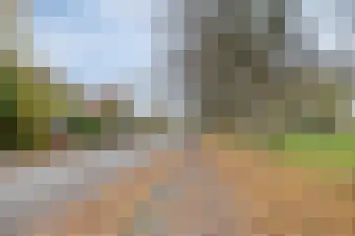 Canadalaan 59 Groningen thumbnail 33