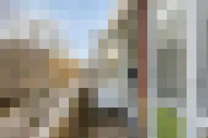 Canadalaan 59 Groningen thumbnail 9