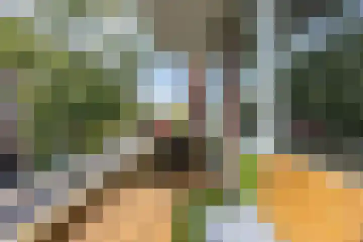 Canadalaan 67 Groningen thumbnail 14