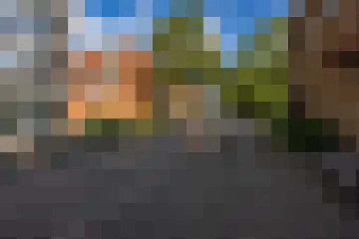 Canadalaan 67 Groningen thumbnail 27