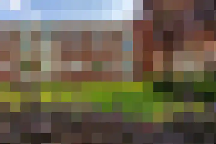 Canadalaan 67 Groningen thumbnail 28