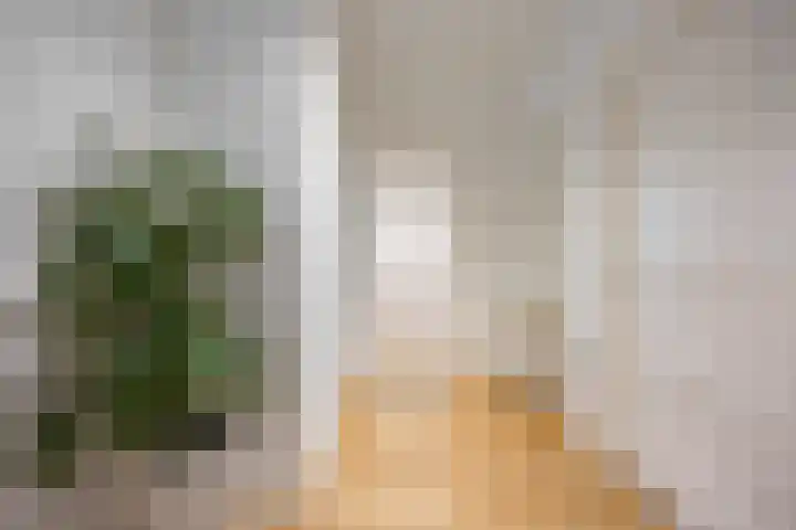 Canadalaan 67 Groningen thumbnail 9