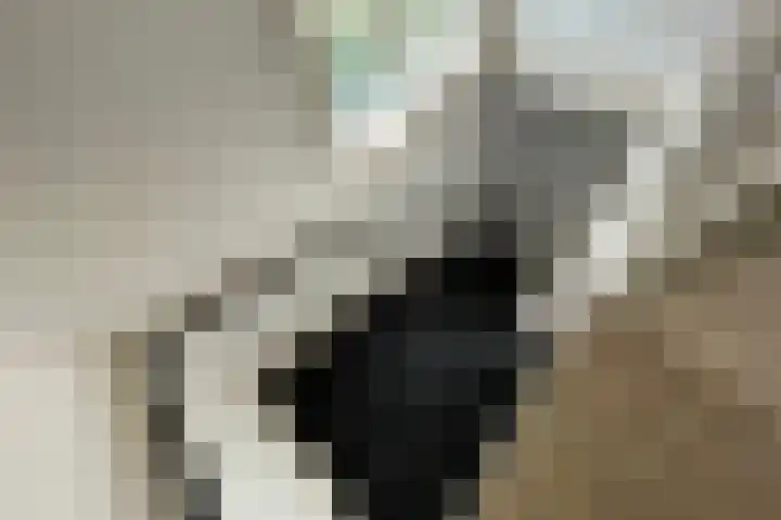 Canadalaan 8 Apeldoorn thumbnail 10