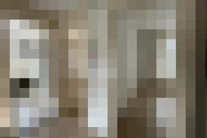 Canadalaan 8 Apeldoorn thumbnail 11