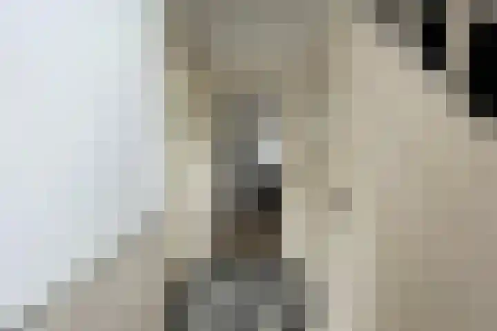Canadalaan 8 Apeldoorn thumbnail 9