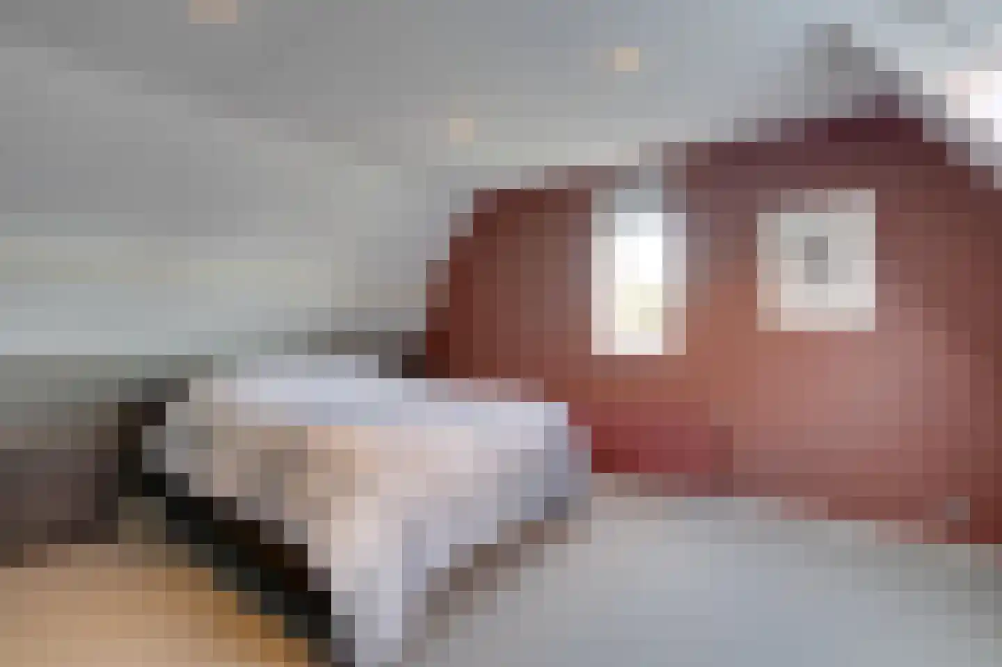 Canadaplein 18 Alkmaar thumbnail 13