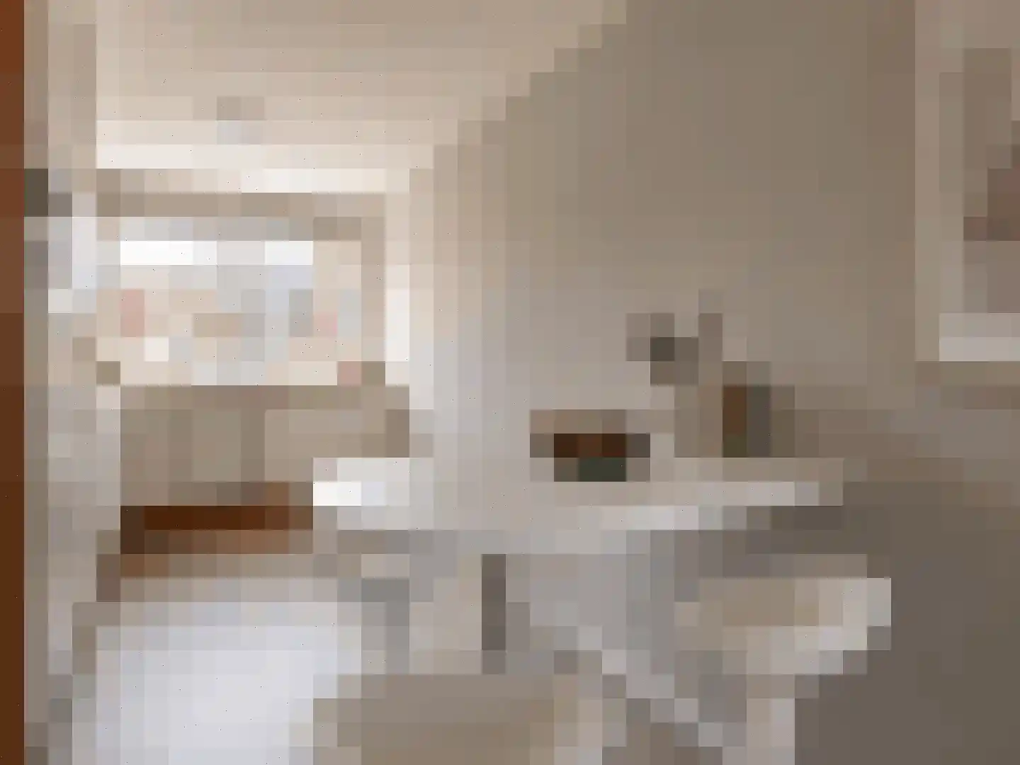 Canadaplein 18 Alkmaar thumbnail 5