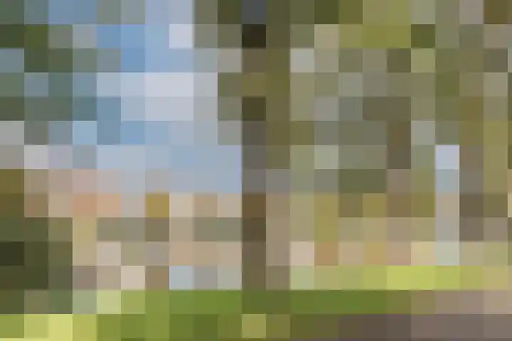 Canadaplein 3 A Alkmaar thumbnail 23