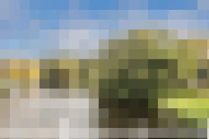 Canadaplein 3 A Alkmaar thumbnail 27