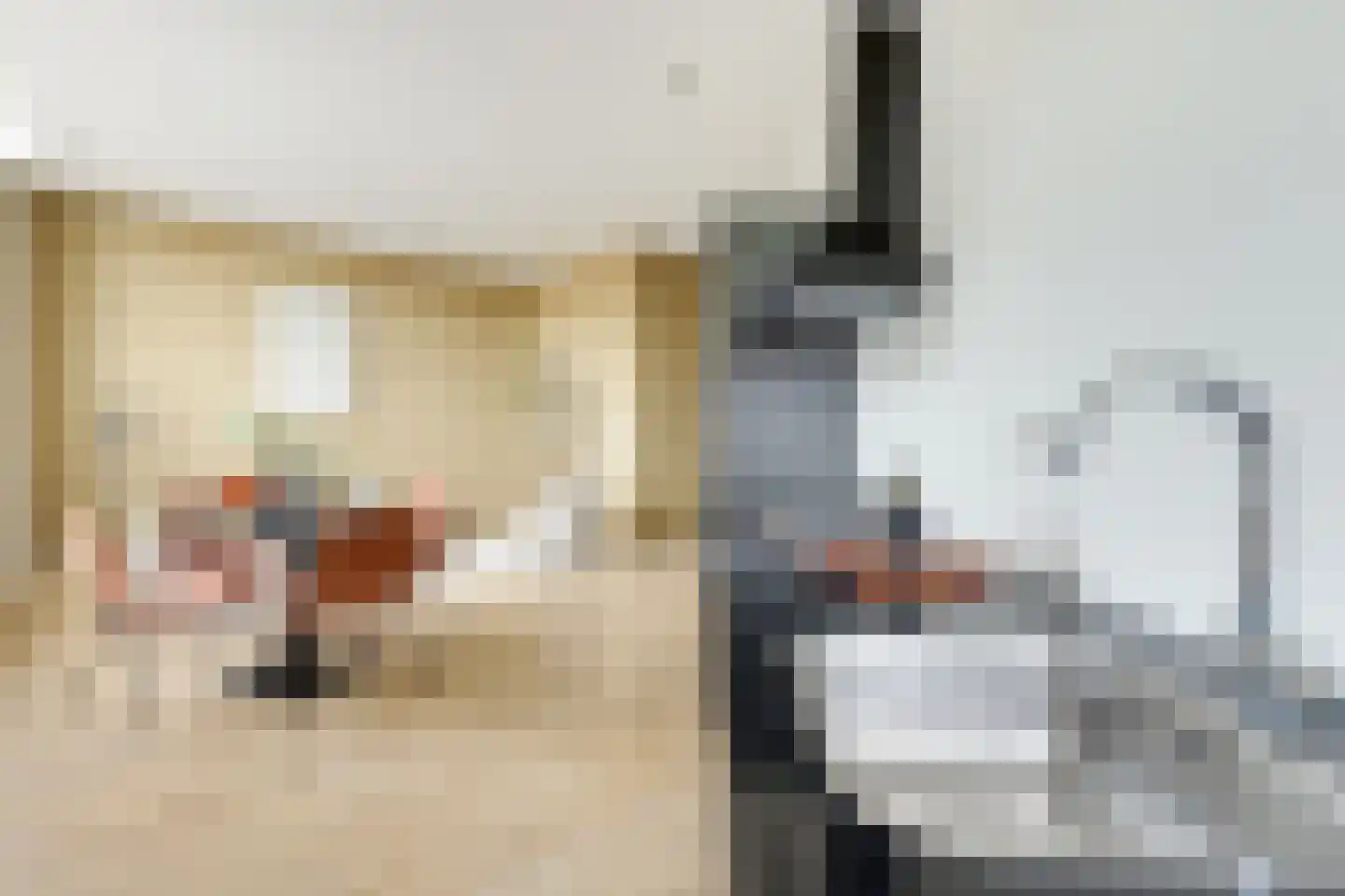 Canadaplein 3 B Alkmaar thumbnail 15