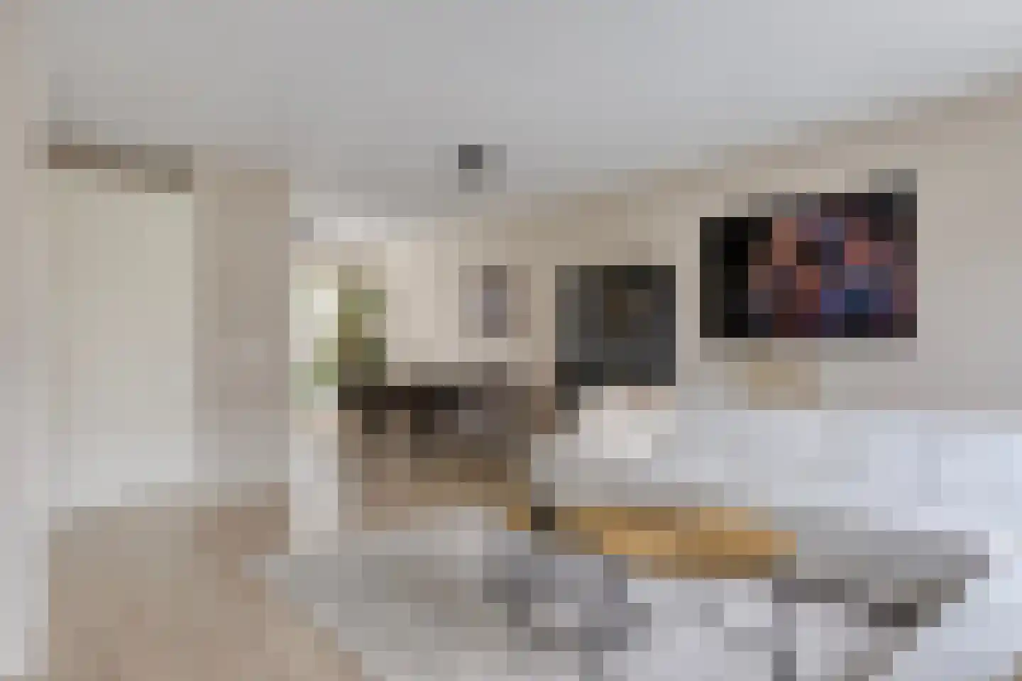 Canadasingel 10 Zutphen thumbnail 11