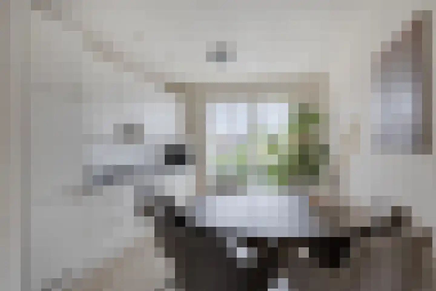 Canadasingel 10 Zutphen thumbnail 15
