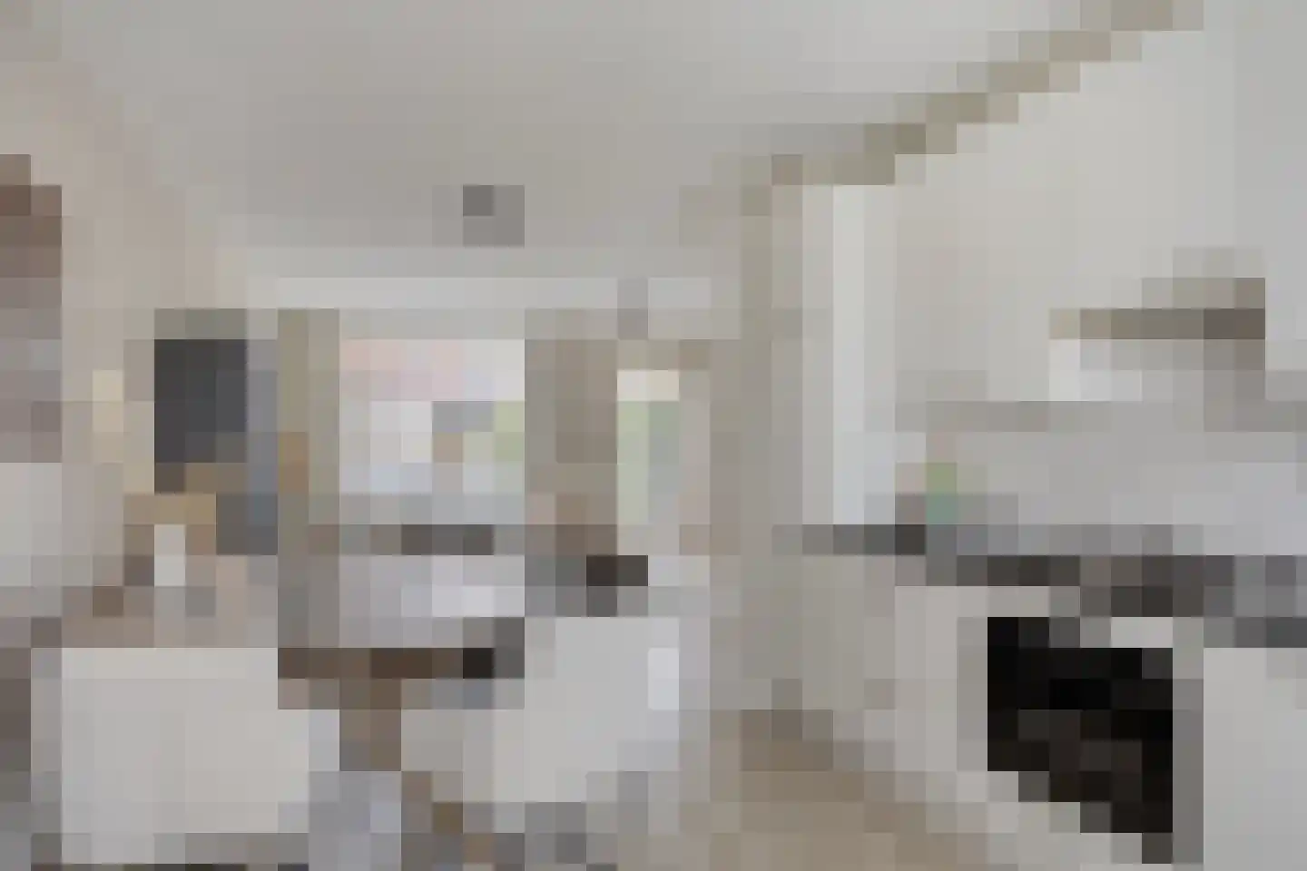 Canadasingel 10 Zutphen thumbnail 17
