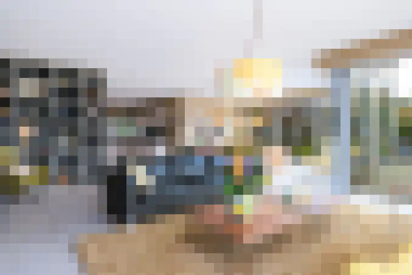 Canadasingel 13 Zutphen thumbnail 17