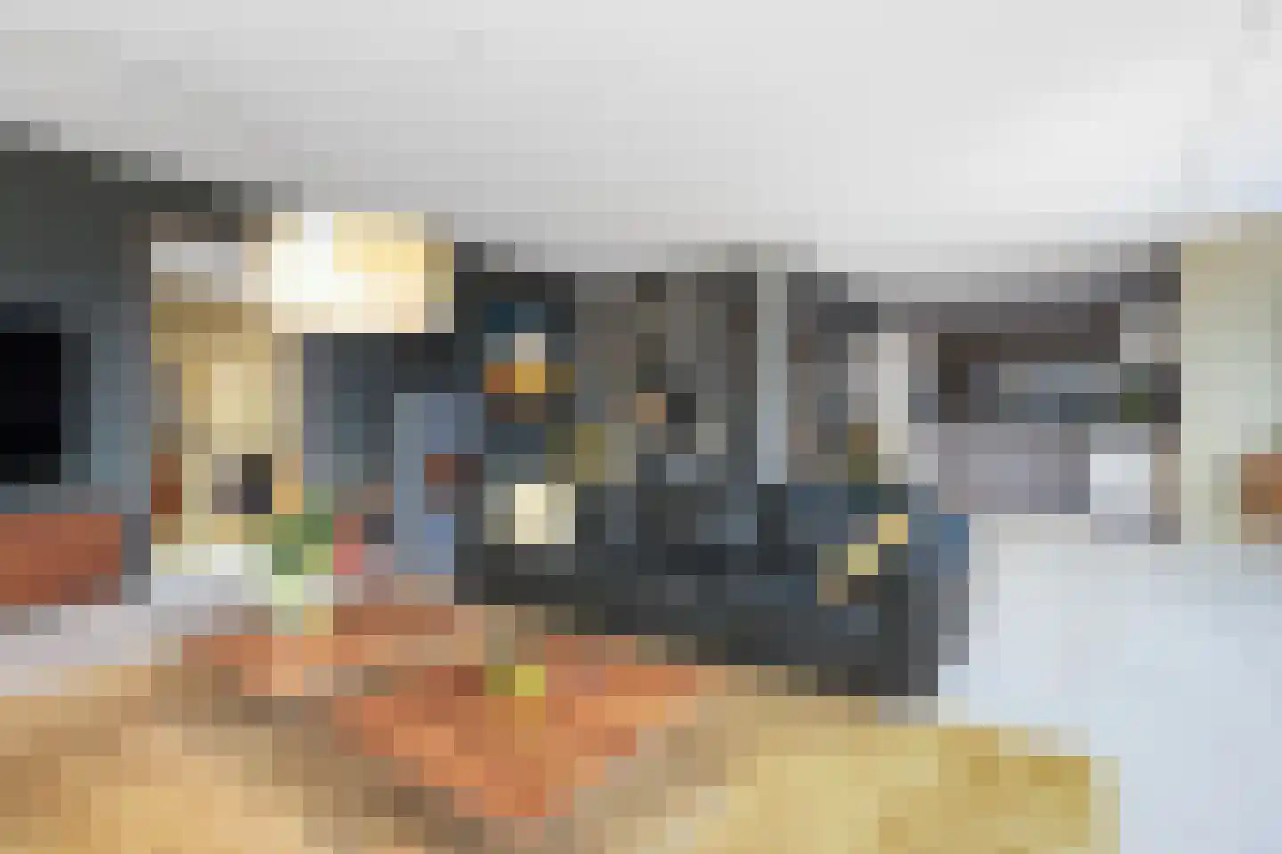 Canadasingel 13 Zutphen thumbnail 18
