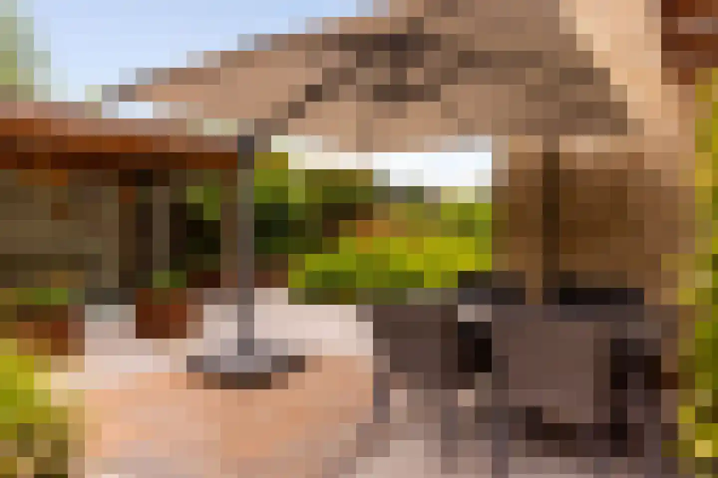 Canadasingel 13 Zutphen thumbnail 29