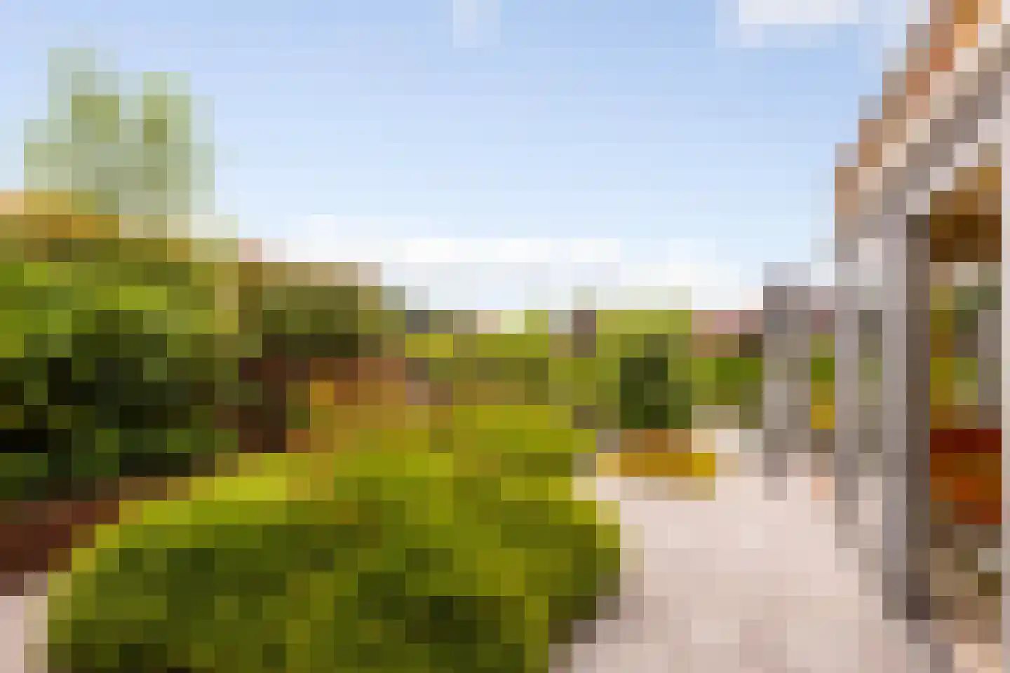 Canadasingel 13 Zutphen thumbnail 33