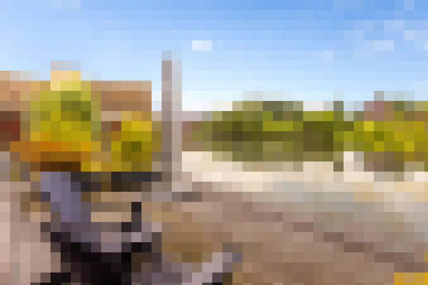 Canadasingel 13 Zutphen thumbnail 35