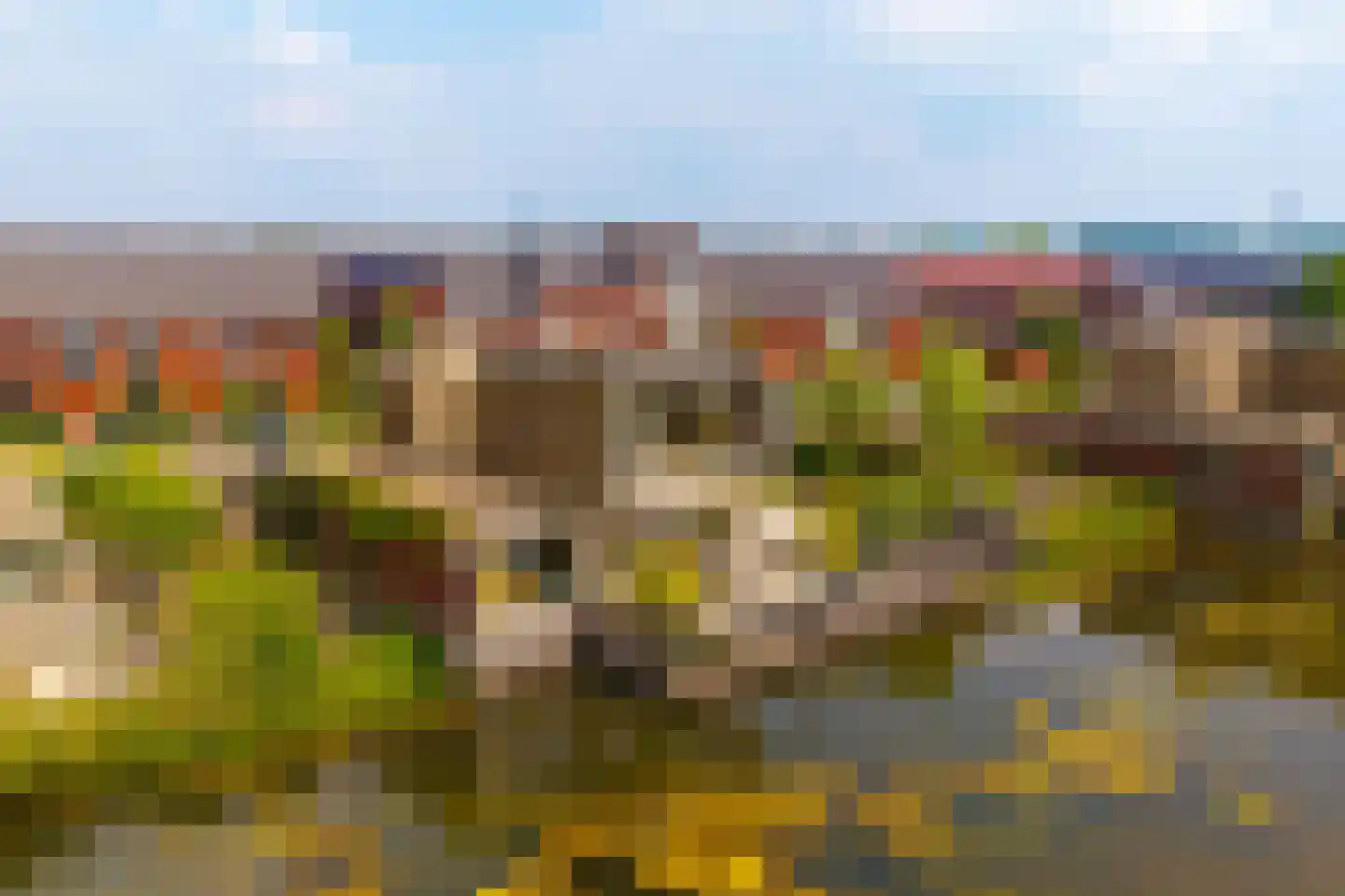 Canadasingel 13 Zutphen thumbnail 49