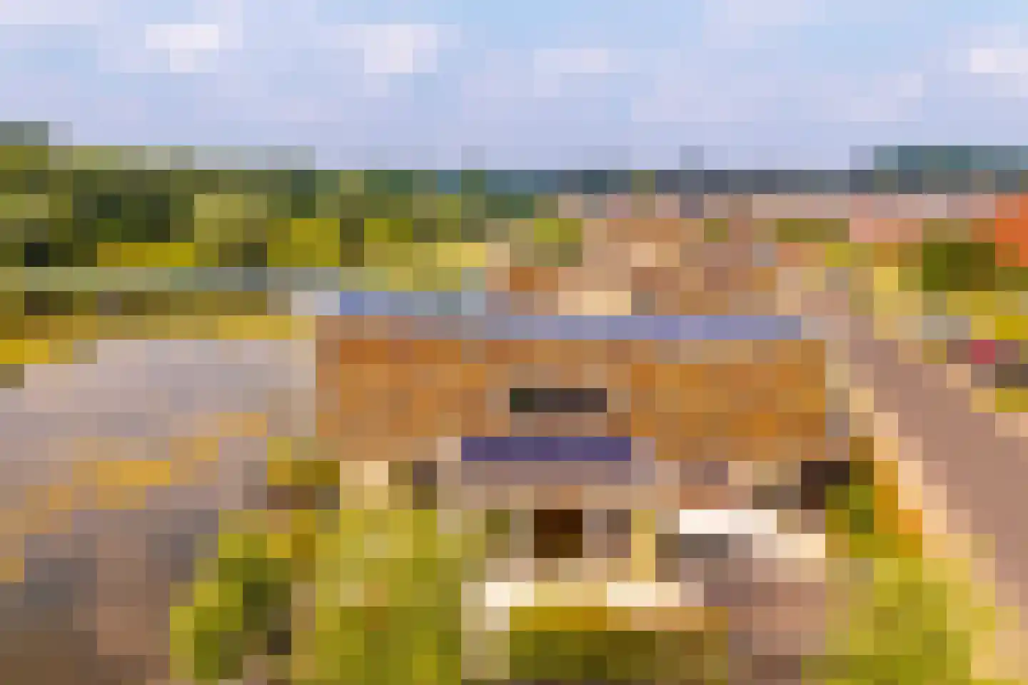 Canadasingel 13 Zutphen thumbnail 51