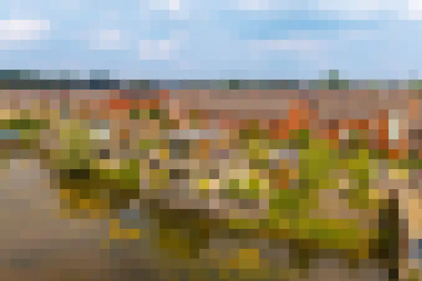 Canadasingel 13 Zutphen thumbnail 7