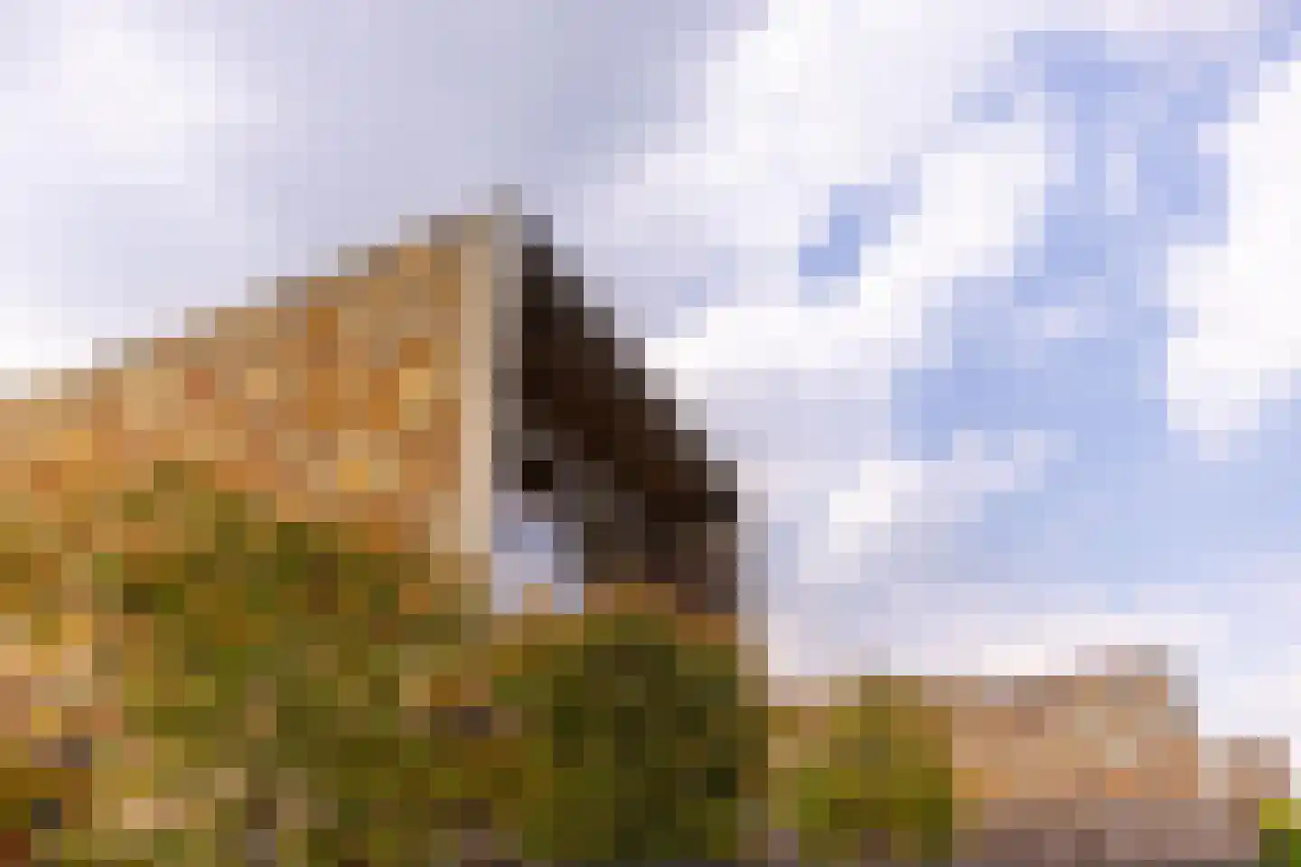 Canadasingel 13 Zutphen thumbnail 8