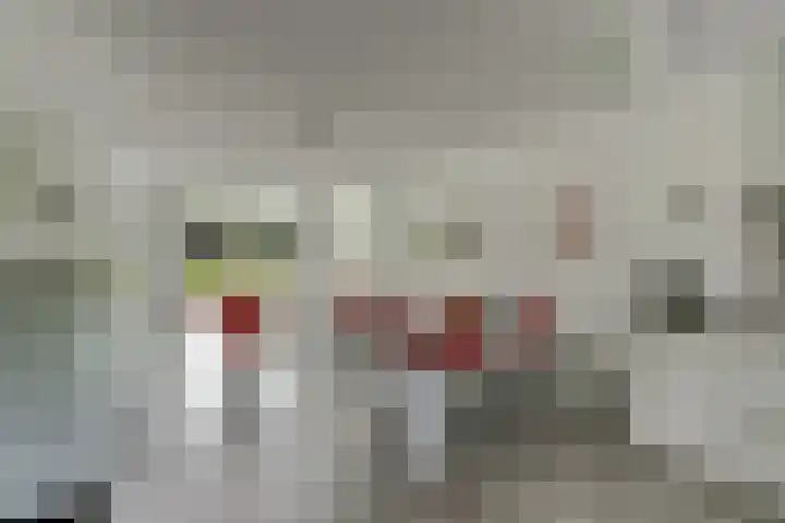 Canadasingel 31 Zutphen thumbnail 11