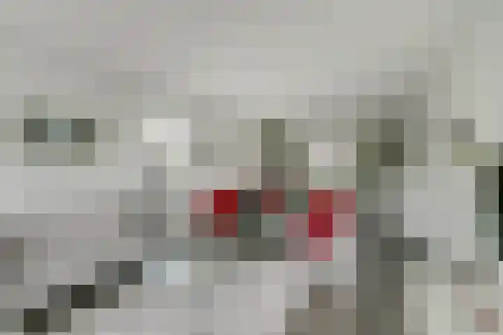 Canadasingel 31 Zutphen thumbnail 12