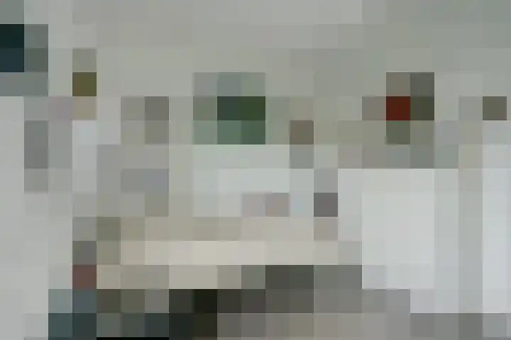 Canadasingel 31 Zutphen thumbnail 15