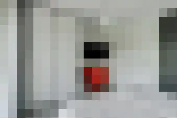 Canadasingel 31 Zutphen thumbnail 17