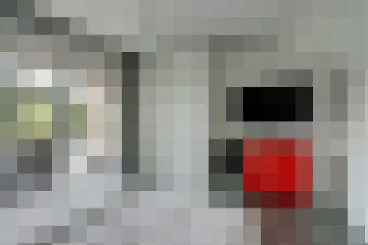 Canadasingel 31 Zutphen thumbnail 18