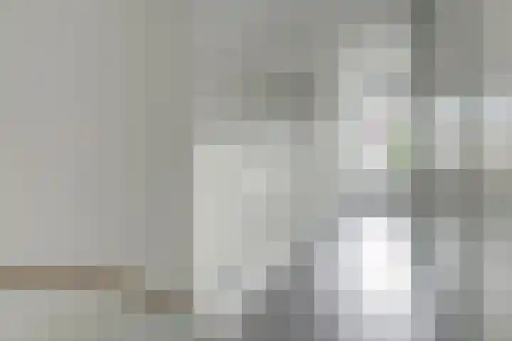 Canadasingel 31 Zutphen thumbnail 21