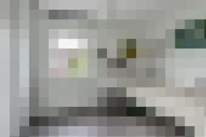 Canadasingel 31 Zutphen thumbnail 23