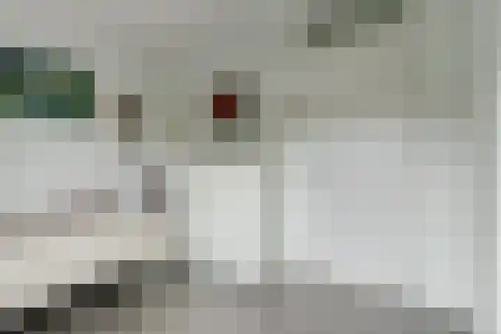 Canadasingel 31 Zutphen thumbnail 24