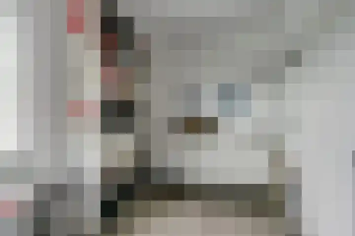 Canadasingel 31 Zutphen thumbnail 25