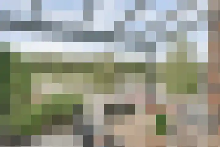Canadasingel 31 Zutphen thumbnail 27
