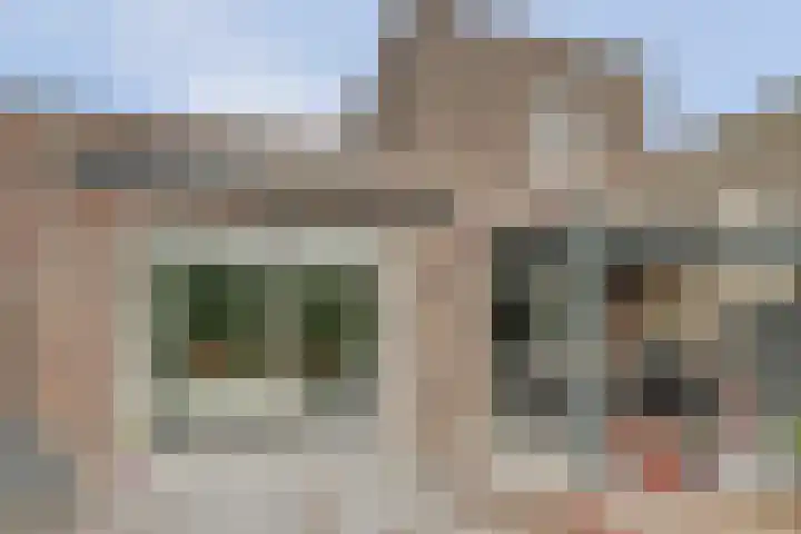 Canadasingel 31 Zutphen thumbnail 28