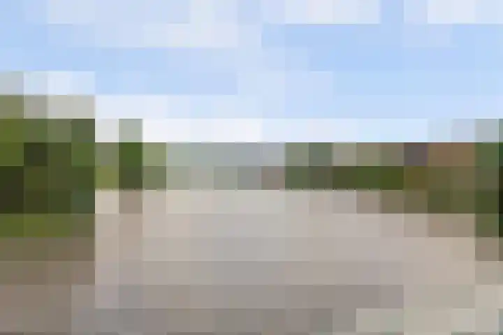 Canadasingel 31 Zutphen thumbnail 33
