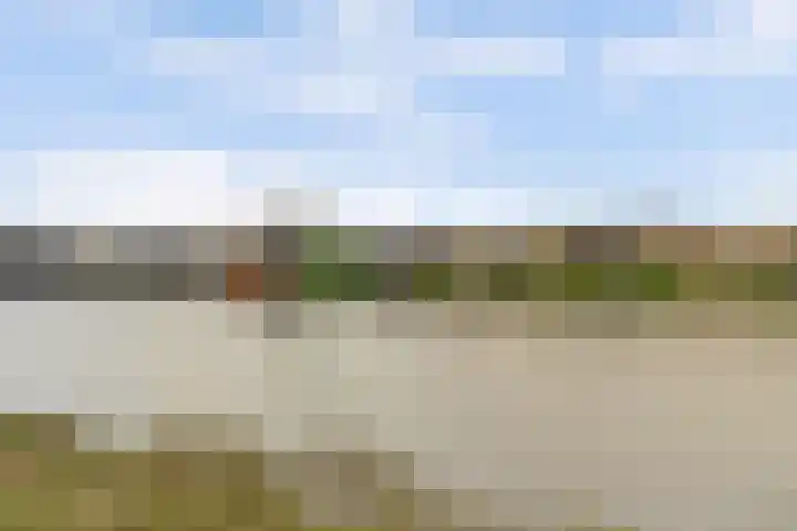 Canadasingel 31 Zutphen thumbnail 34