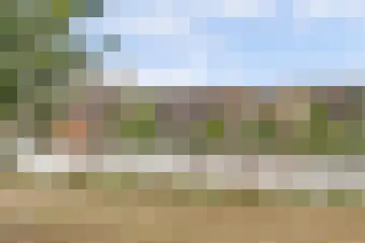 Canadasingel 31 Zutphen thumbnail 35