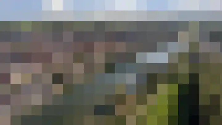 Canadasingel 31 Zutphen thumbnail 37
