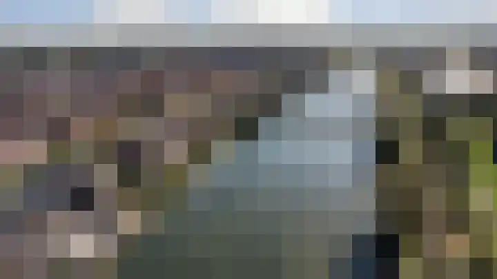Canadasingel 31 Zutphen thumbnail 5