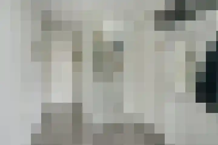 Canadasingel 31 Zutphen thumbnail 8