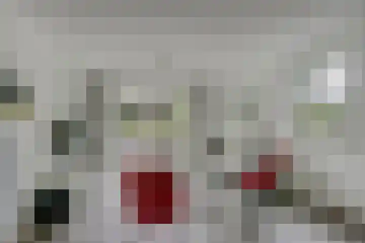 Canadasingel 31 Zutphen thumbnail 9