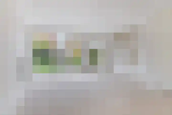 Canadasingel 36 Zutphen thumbnail 12