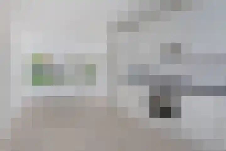Canadasingel 36 Zutphen thumbnail 16
