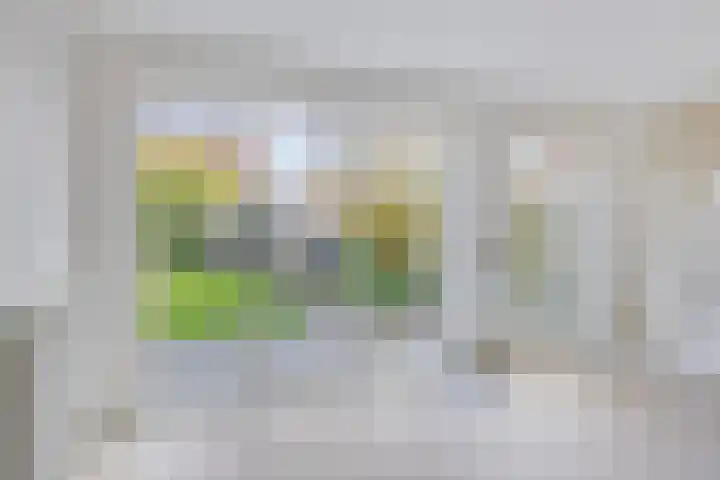 Canadasingel 36 Zutphen thumbnail 17
